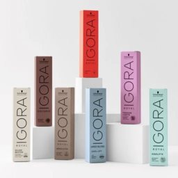 Schwarzkopf Professional Igora Royal Permanent თმის საღებავი 6-63 60მლ