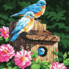 Painting by numbers "Birds"