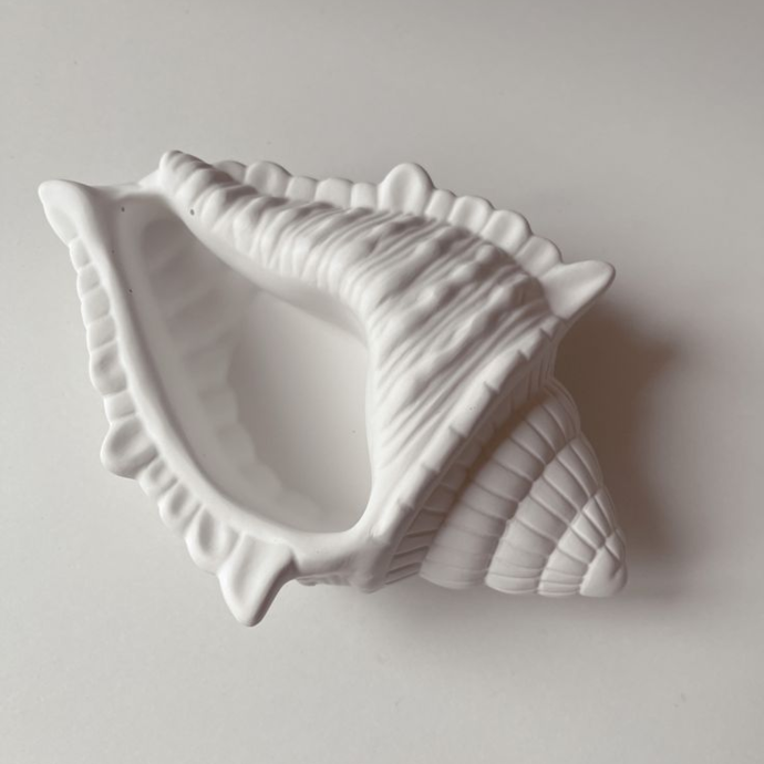 Gypsum jewelry shell