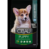 CIBAU PUPPY